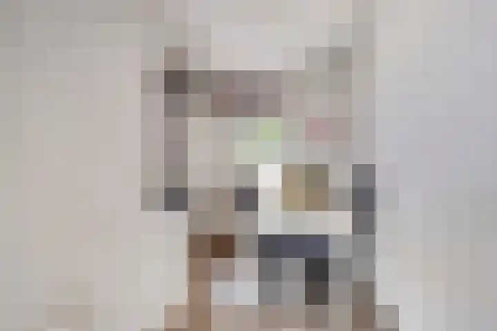 De Pas 68 Aalten thumbnail 10