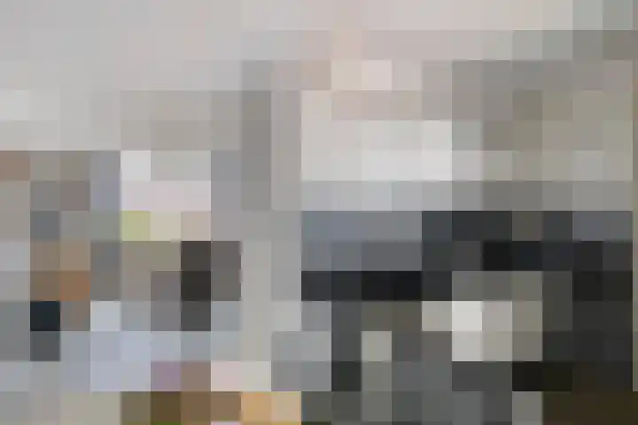 De Pas 68 Aalten thumbnail 11