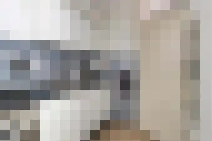 De Pas 68 Aalten thumbnail 12
