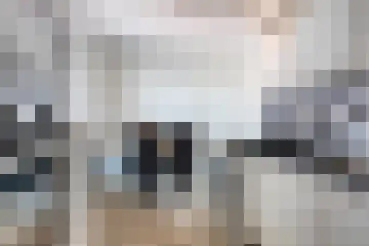 De Pas 68 Aalten thumbnail 13