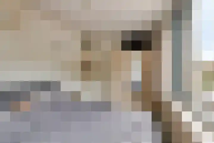 De Pas 68 Aalten thumbnail 19