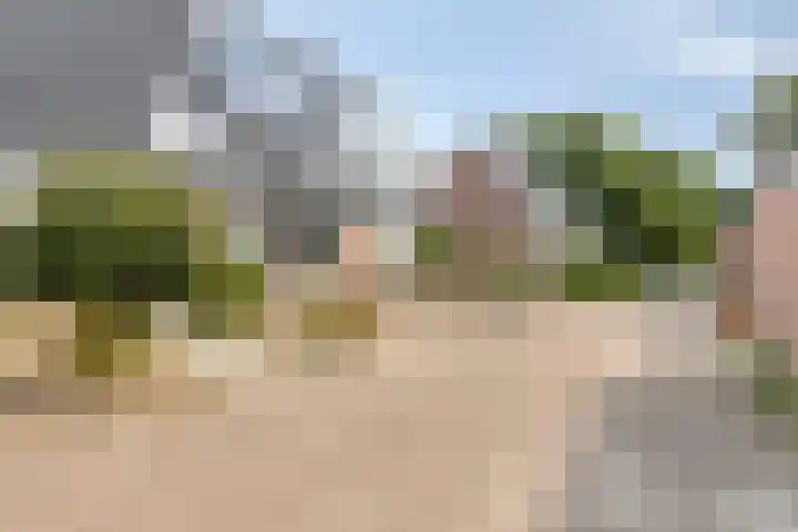 De Pas 68 Aalten foto 3