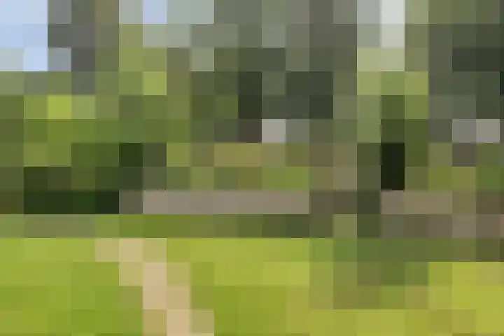 De Pas 68 Aalten thumbnail 31