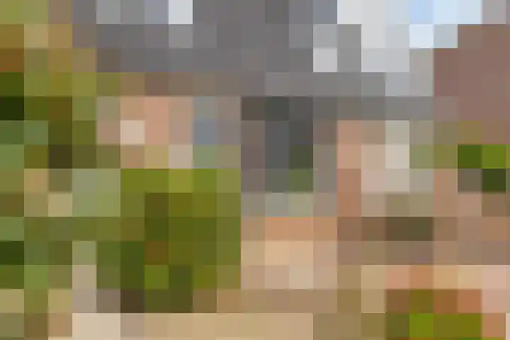 De Pas 68 Aalten thumbnail 4