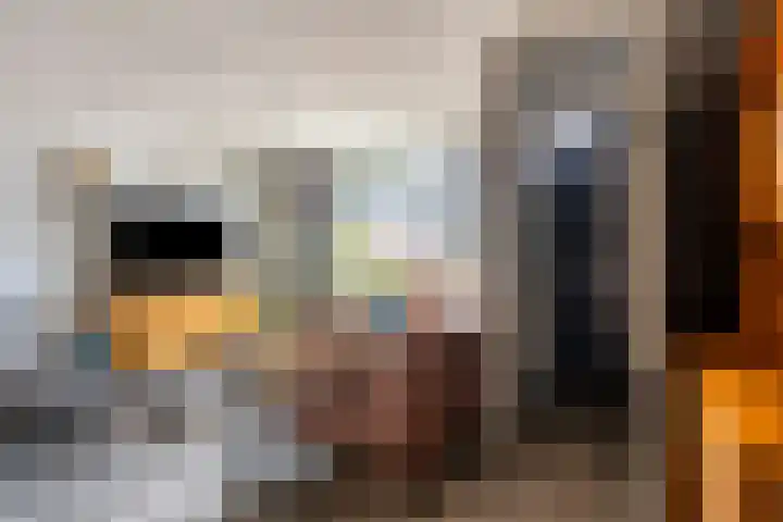 De Pas 68 Aalten thumbnail 7