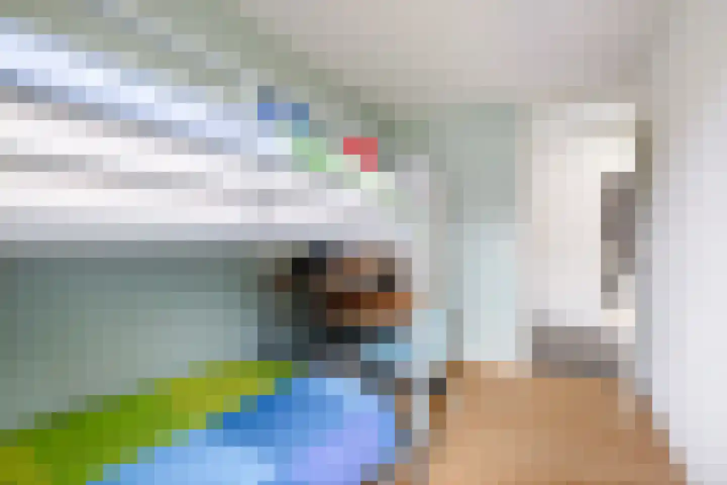 de Pas 73 Olst thumbnail 17