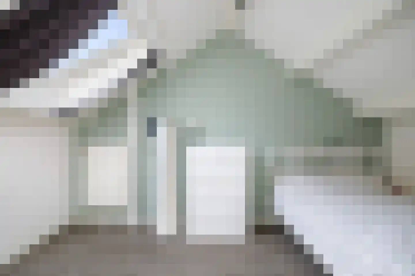 de Pas 73 Olst thumbnail 23