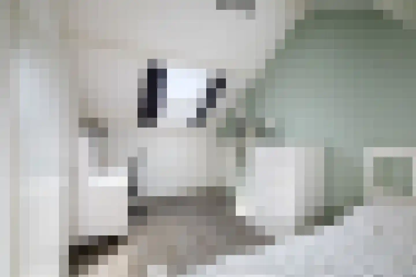 de Pas 73 Olst thumbnail 24