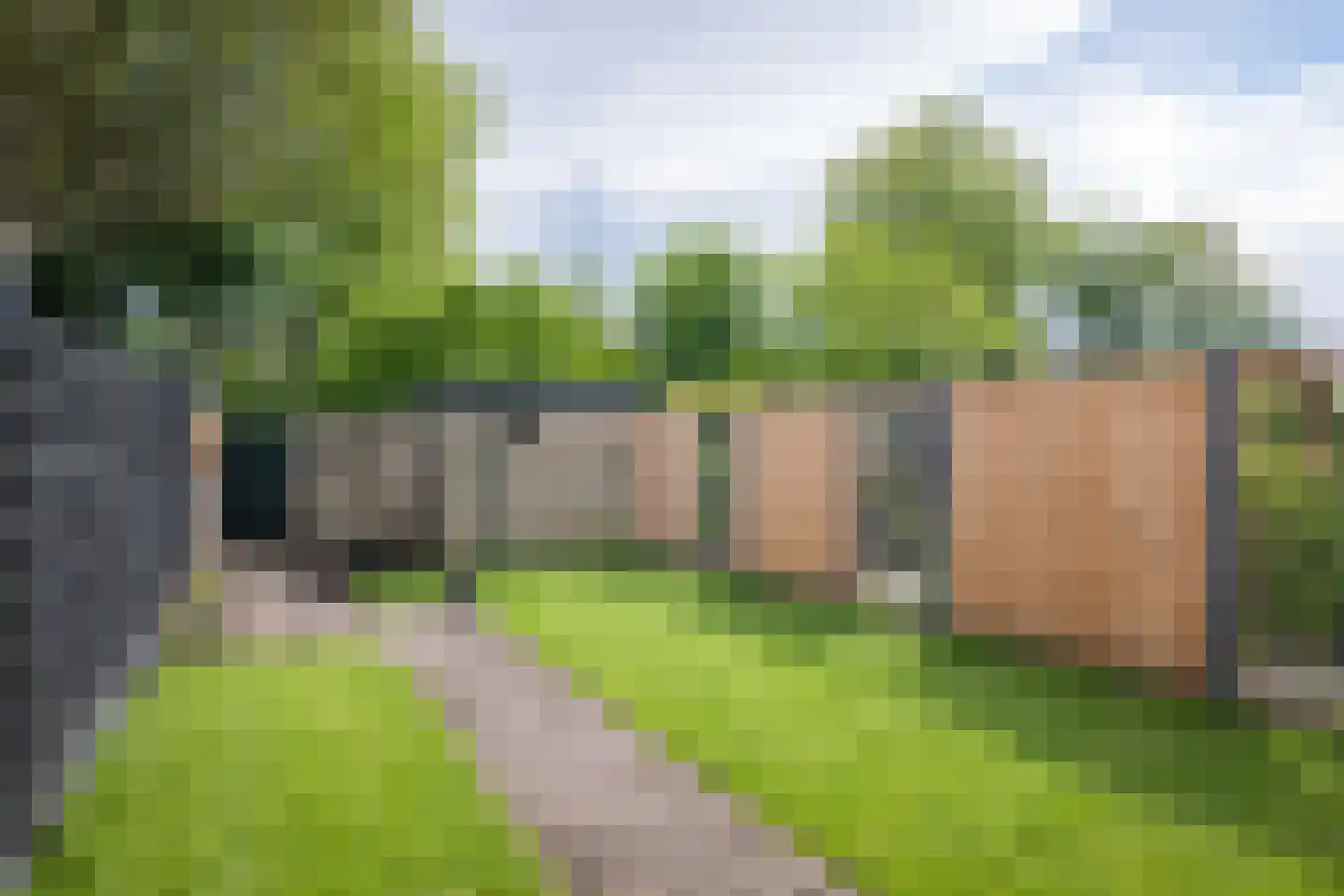 de Pas 73 Olst thumbnail 25