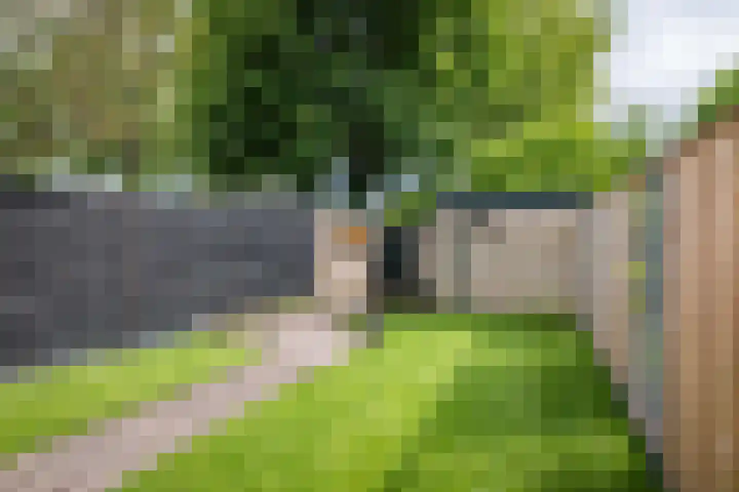de Pas 73 Olst thumbnail 26