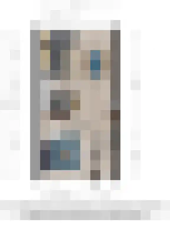 de Pas 73 Olst thumbnail 31