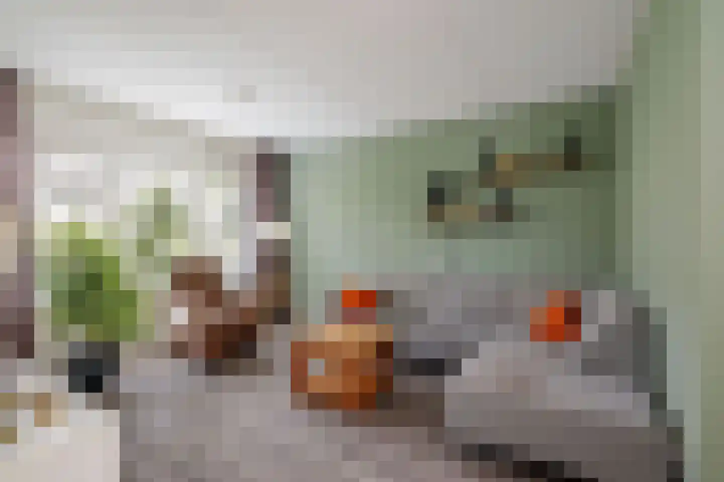 de Pas 73 Olst thumbnail 4