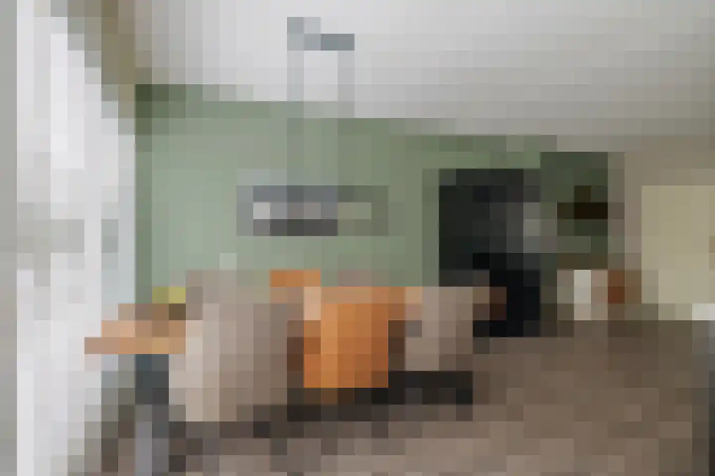 de Pas 73 Olst thumbnail 9