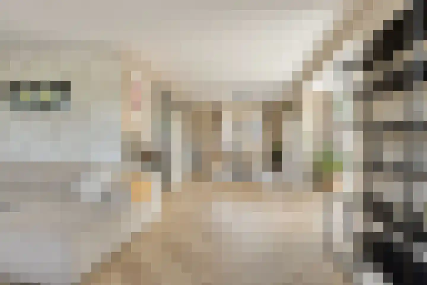 de Pas 76 Haarlo thumbnail 14