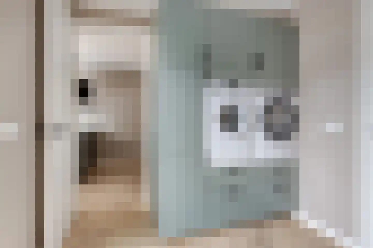 de Pas 76 Haarlo thumbnail 23