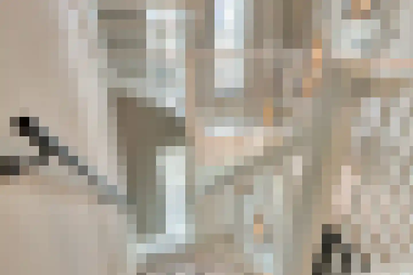 de Pas 76 Haarlo thumbnail 26