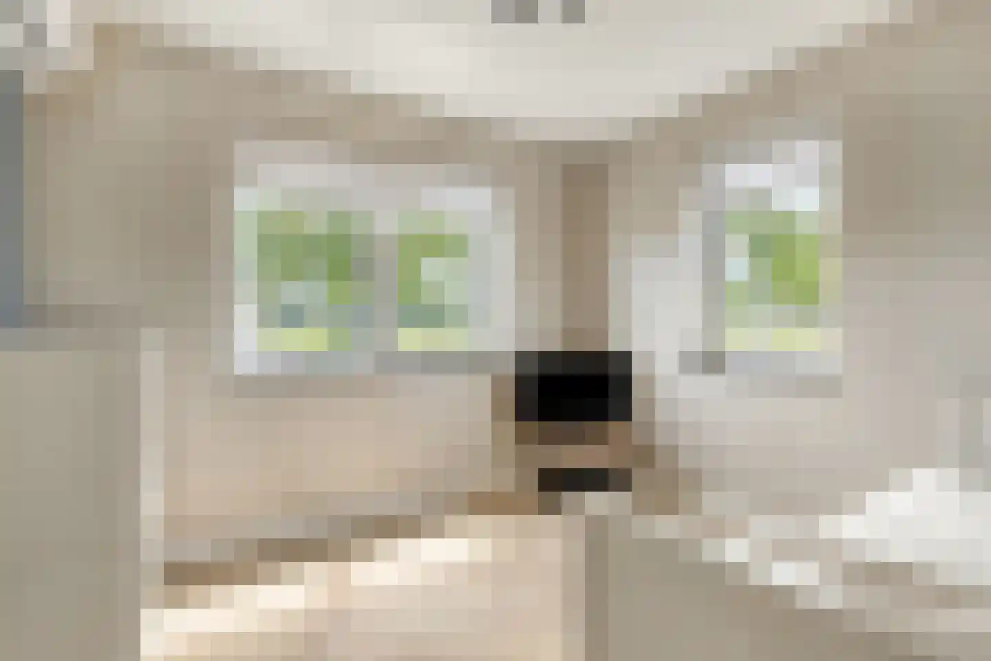 de Pas 76 Haarlo thumbnail 28