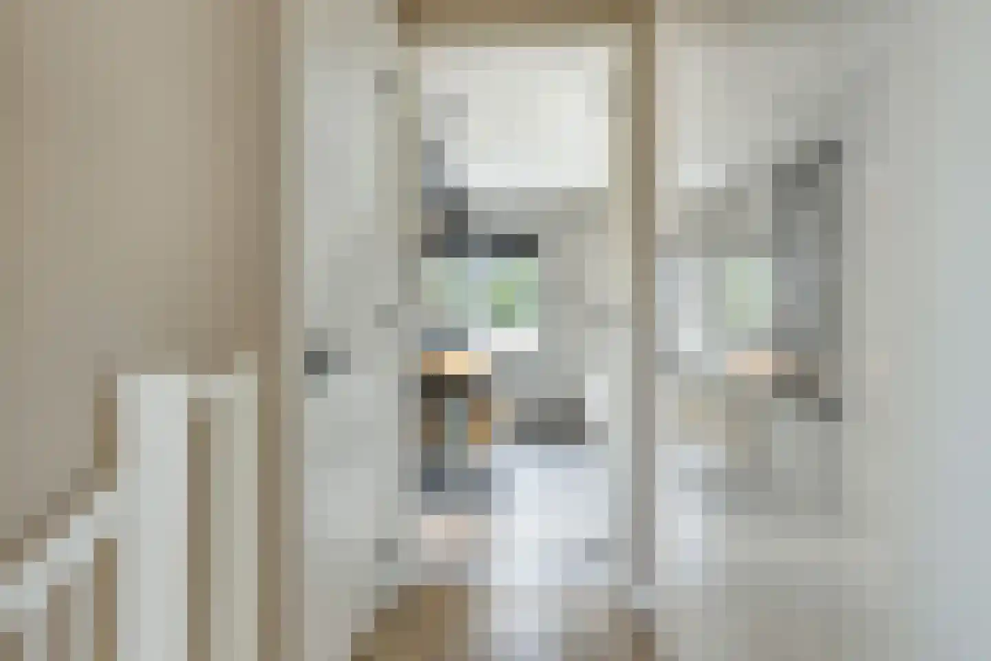 de Pas 76 Haarlo thumbnail 38