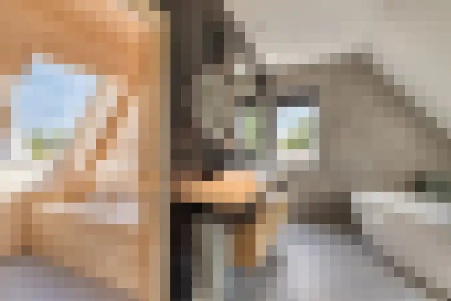 de Pas 76 Haarlo thumbnail 39