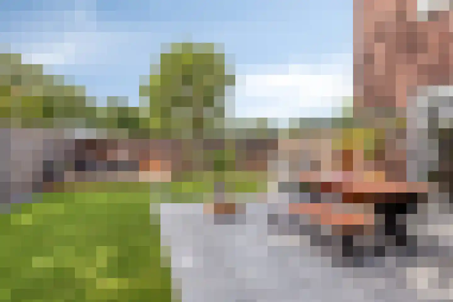 de Pas 76 Haarlo thumbnail 45