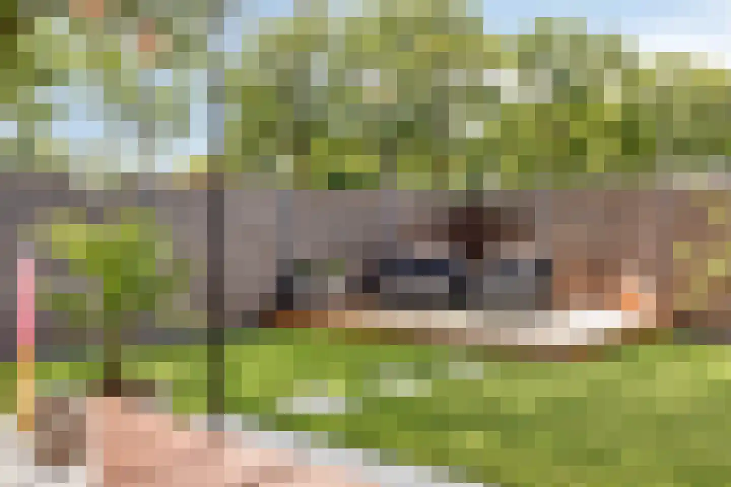 de Pas 76 Haarlo thumbnail 46