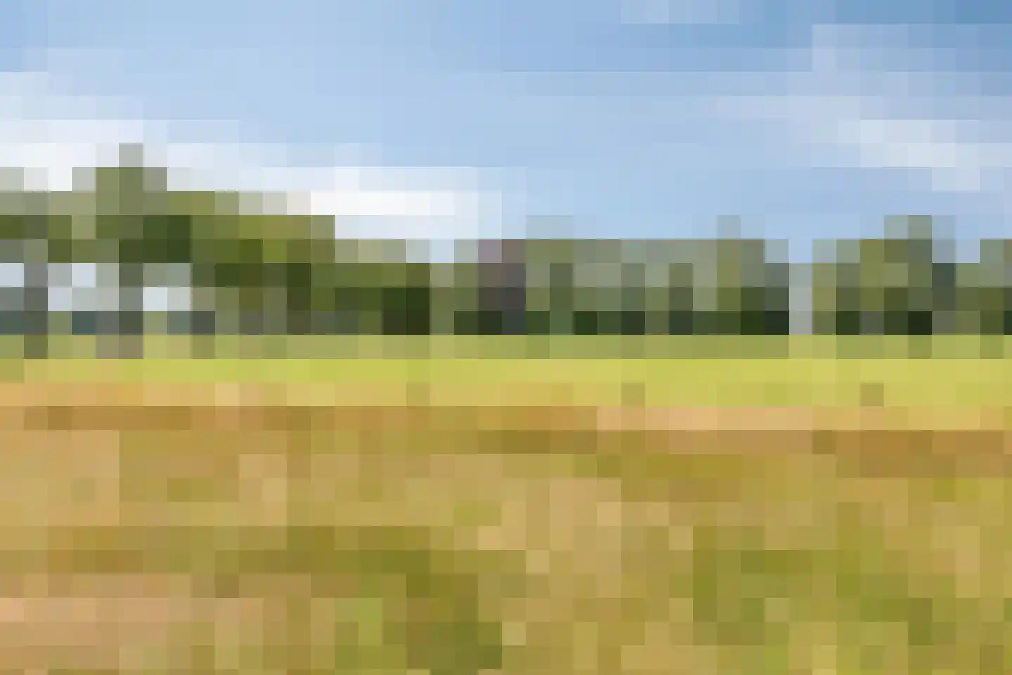 de Pas 76 Haarlo thumbnail 53