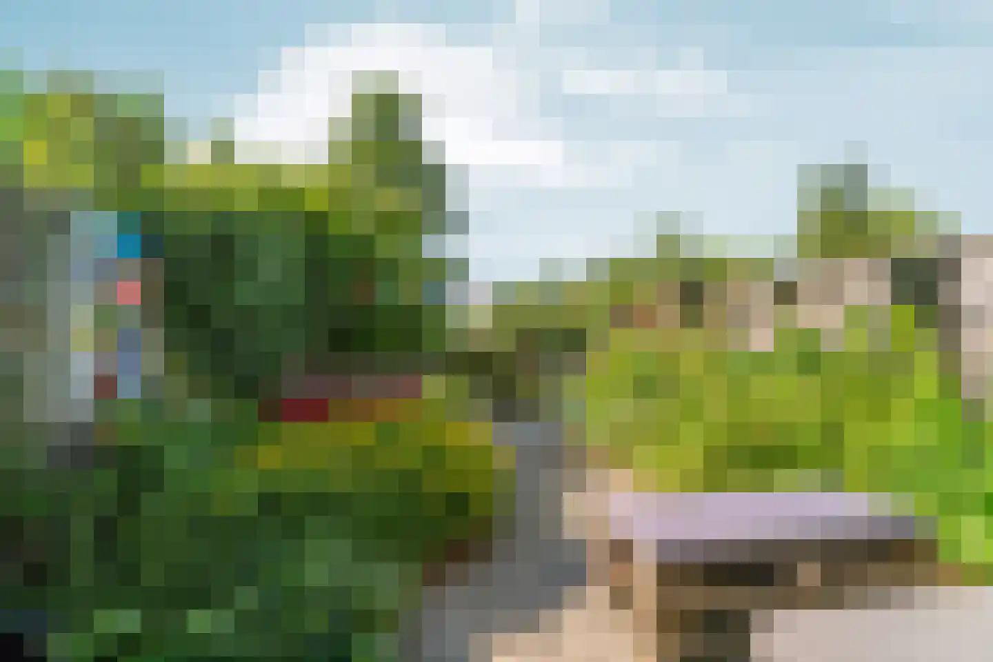 De Pas 80 Arnhem thumbnail 36