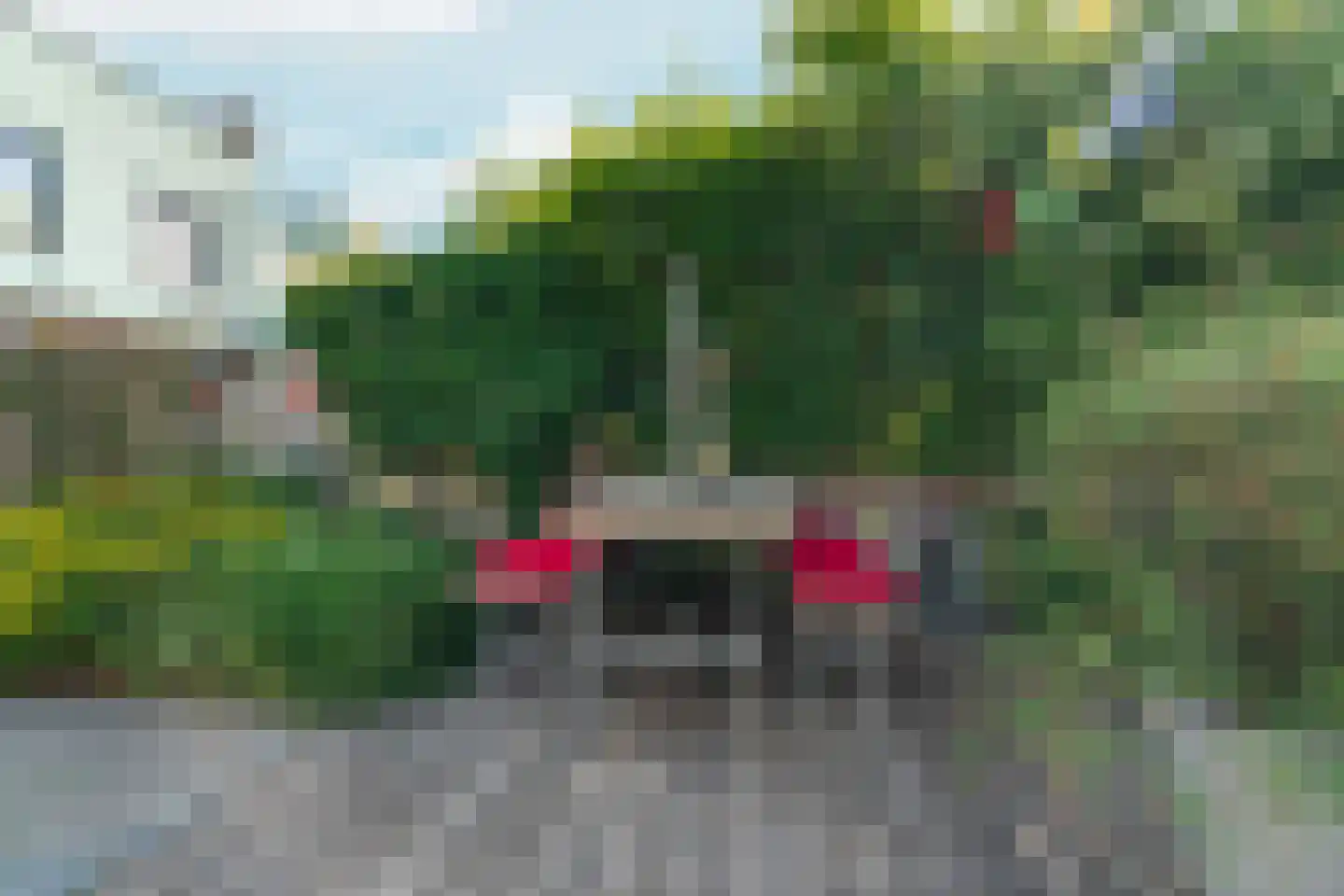 De Pas 80 Arnhem thumbnail 36