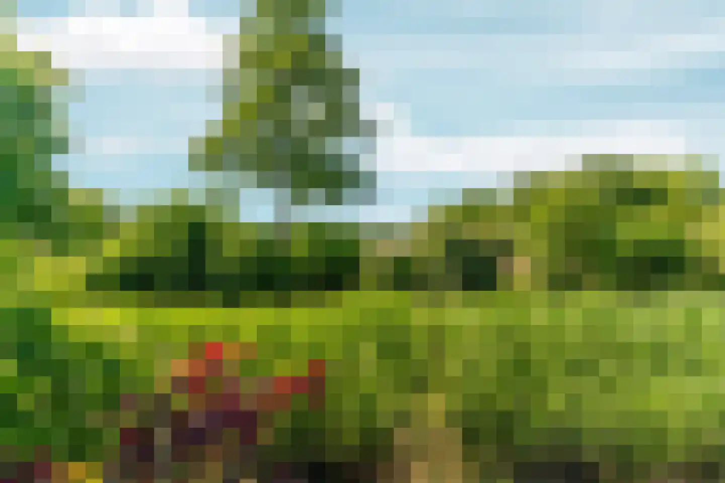 De Pas 80 Arnhem thumbnail 38