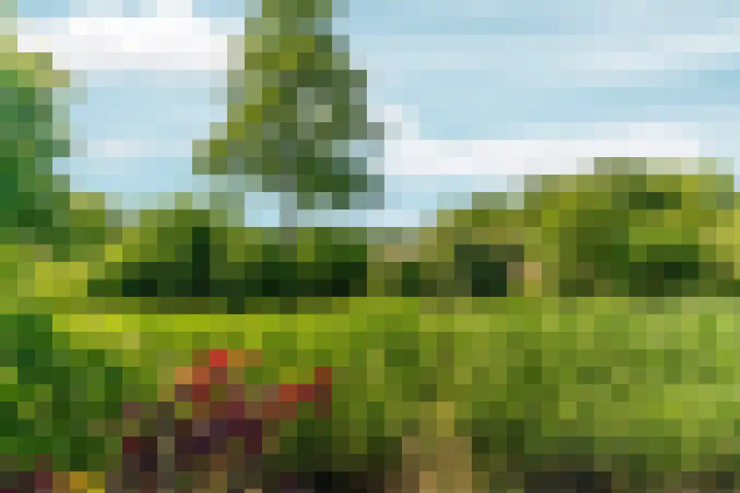 De Pas 80 Arnhem thumbnail 40