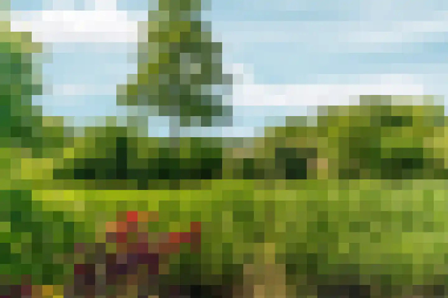 De Pas 80 Arnhem thumbnail 41