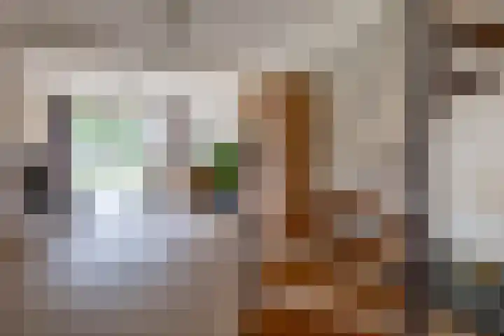 De Patrijs 13 Vriezenveen thumbnail 14