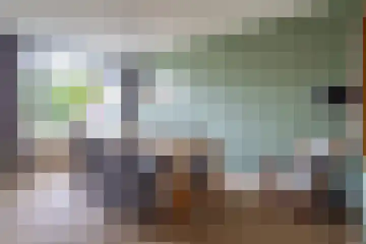 De Patrijs 13 Vriezenveen thumbnail 15