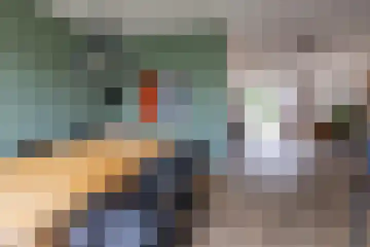 De Patrijs 13 Vriezenveen thumbnail 16