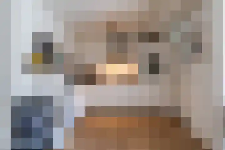 De Patrijs 13 Vriezenveen thumbnail 19