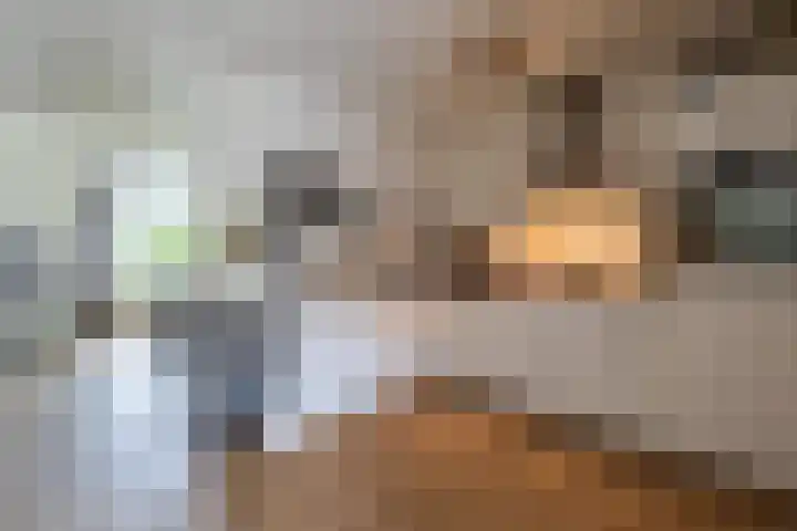 De Patrijs 13 Vriezenveen thumbnail 20
