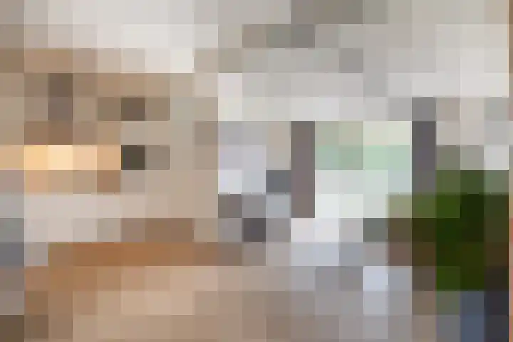 De Patrijs 13 Vriezenveen thumbnail 21