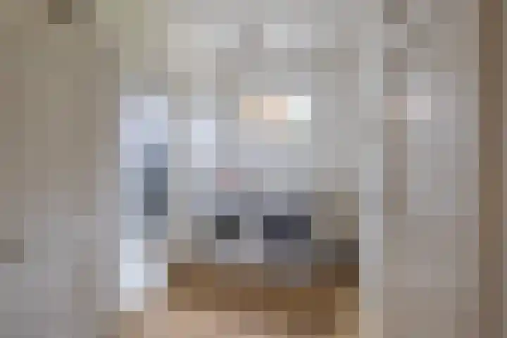 De Patrijs 13 Vriezenveen thumbnail 22