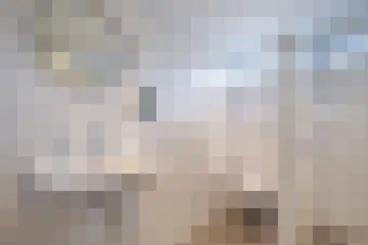 De Patrijs 13 Vriezenveen thumbnail 23