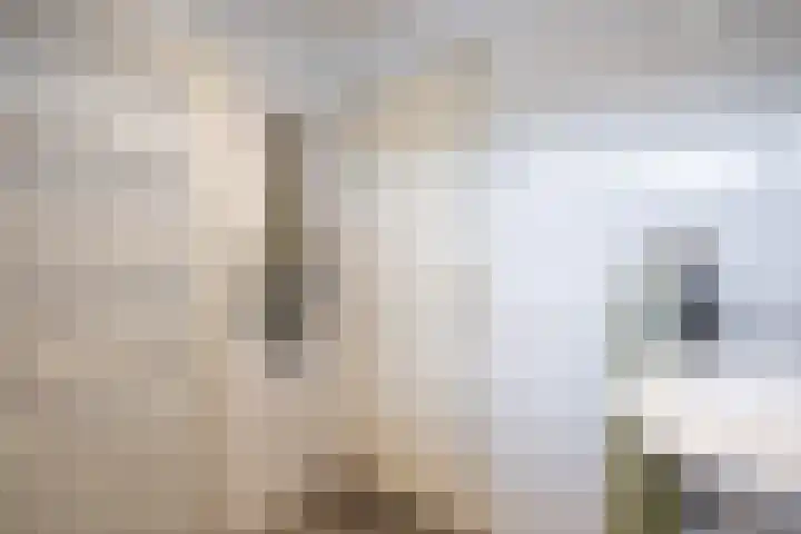 De Patrijs 13 Vriezenveen thumbnail 26
