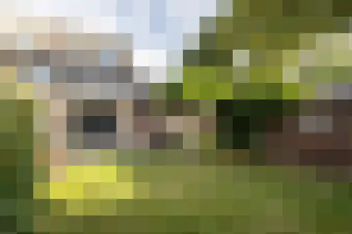 De Patrijs 13 Vriezenveen thumbnail 29