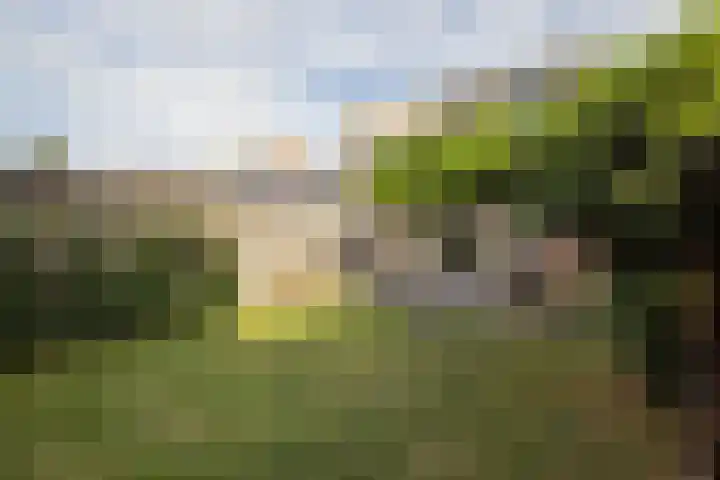De Patrijs 13 Vriezenveen thumbnail 30