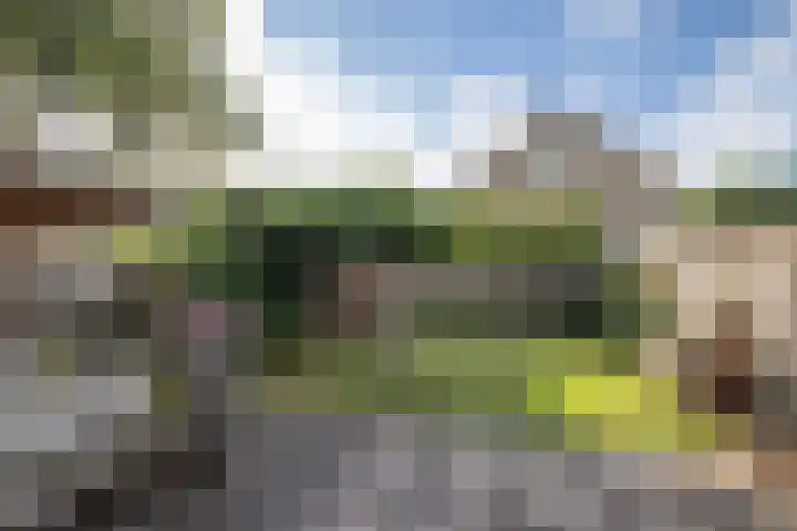 De Patrijs 13 Vriezenveen thumbnail 31