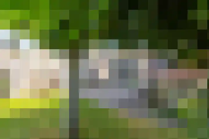 De Patrijs 13 Vriezenveen thumbnail 32