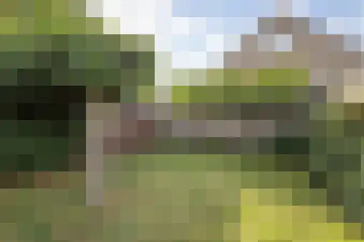 De Patrijs 13 Vriezenveen thumbnail 33