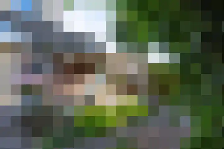 De Patrijs 13 Vriezenveen thumbnail 34
