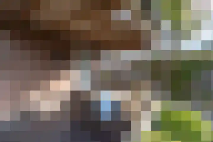De Patrijs 13 Vriezenveen thumbnail 35