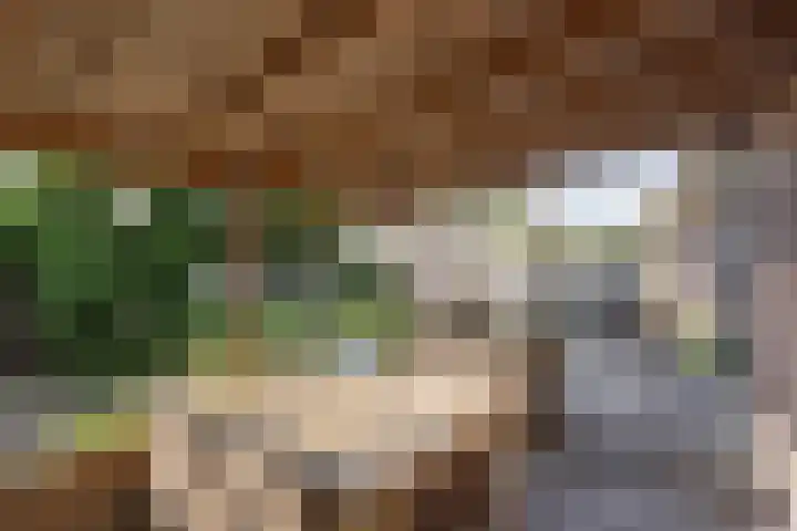 De Patrijs 13 Vriezenveen thumbnail 37