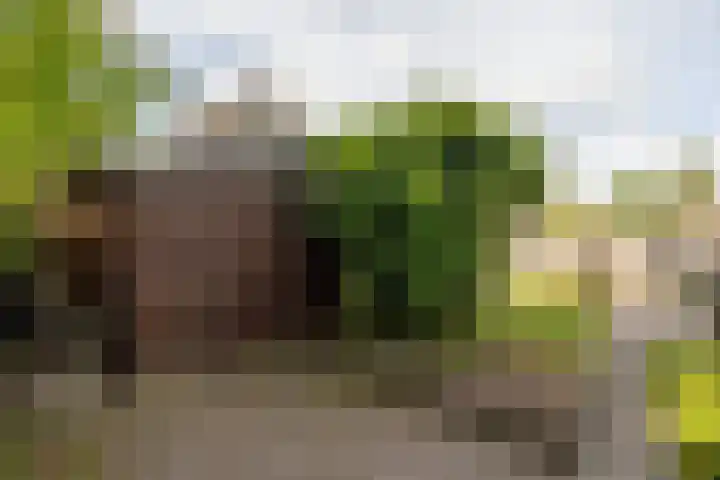 De Patrijs 13 Vriezenveen thumbnail 38