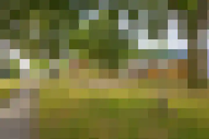 De Patrijs 13 Vriezenveen thumbnail 39